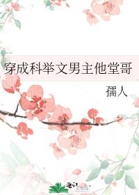 女主穿男考科举当大官