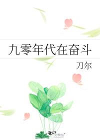 九零年代奋斗记