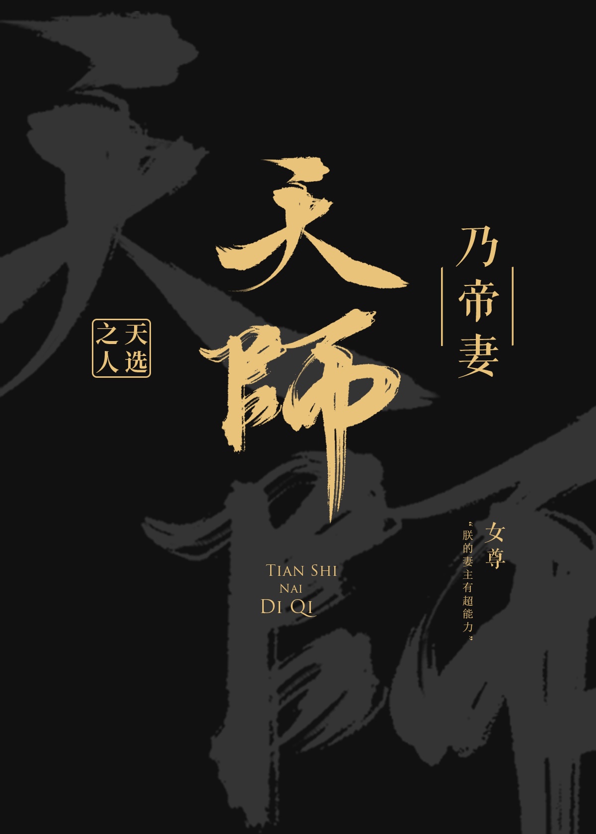 天师乃帝妻 女尊